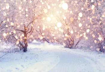 Sniegotā Ziemas Landscrape koks ceļa Ziemassvētku Kadriem Gaismas fons, Augstas kvalitātes Datoru, drukas puse fona