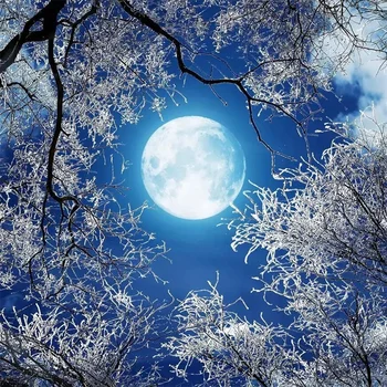 papel de parede Pielāgotu Fona attēlu Īpaši Augstas Izšķirtspējas Full Moon Meža Sniega Skatīt Debesis Naktī Debesis Griestu Mājas Dekoru, Sienas Behang