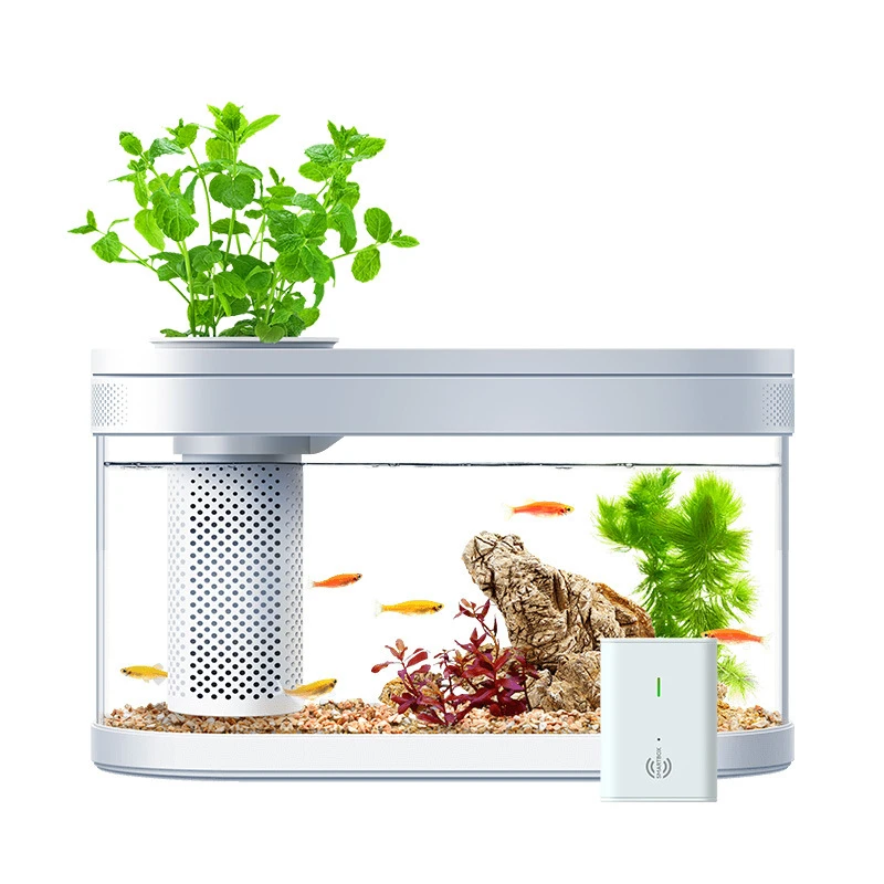 Ģeometrija Akvārija Komplekts Smart Zivju Tvertnes ar LED Gaismas Filtrēšanas Sistēma Kluss Ūdens Sūknis Maza Augu Dekori Betta Zivis4
